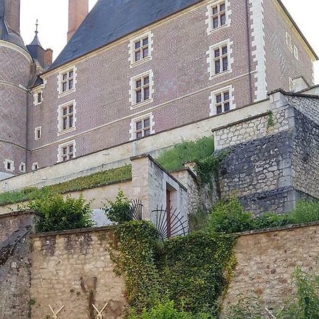Charmant Appartement Au Pied Du Chateau Gien Zewnętrze zdjęcie