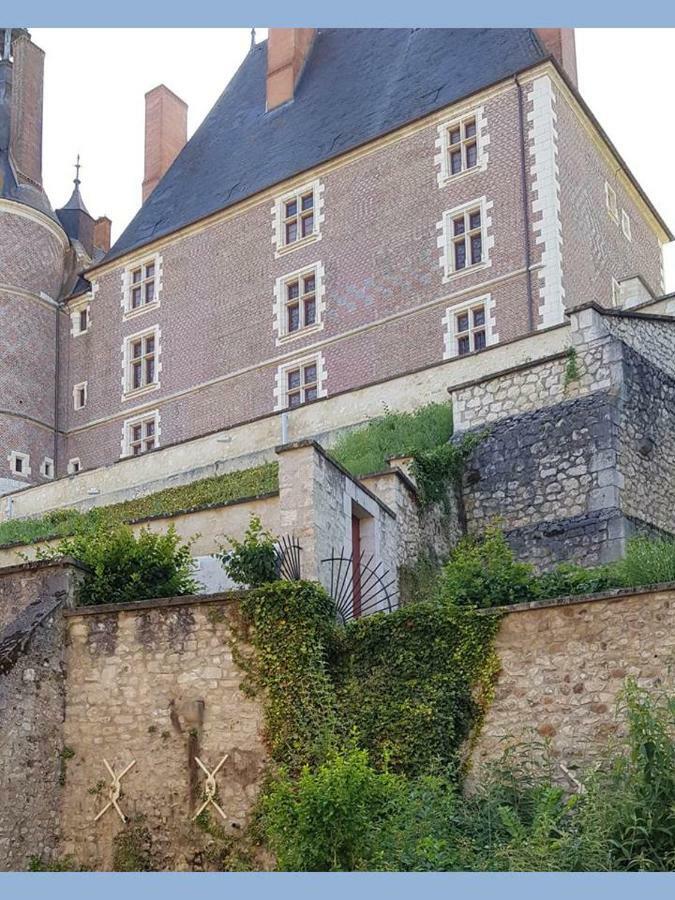 Charmant Appartement Au Pied Du Chateau Gien Zewnętrze zdjęcie